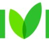 Xylitol uit Finland Berkensuiker van de Berk 250g - Afbeelding 2