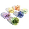 Mazzega Art & Design Murano schaaltjes colombina - Afbeelding 4