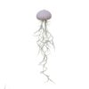 Airplant tillandsia jellyfish violet medium spaans mos