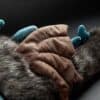 Sigikid Middeleeuwse Draak BeastsTown - Afbeelding 4