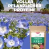 Simply Keto Lijnzaadmeel goud 500g - Afbeelding 4