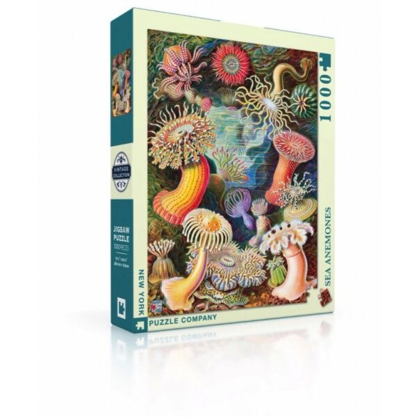 New York Puzzle Company Vintage Images Sea Anemones 1000 stukjes puzzel