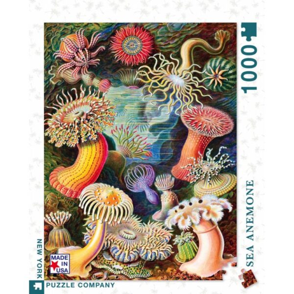 New York Puzzle Company Vintage Images Sea Anemones 1000 stukjes puzzel - Afbeelding 5