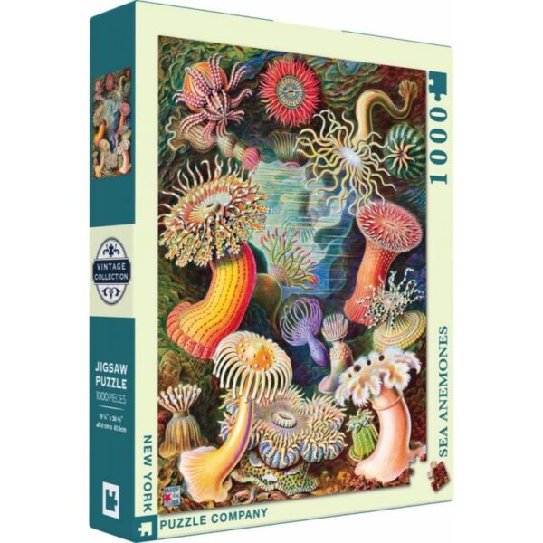 New York Puzzle Company Vintage Images Sea Anemones 1000 stukjes puzzel - Afbeelding 2