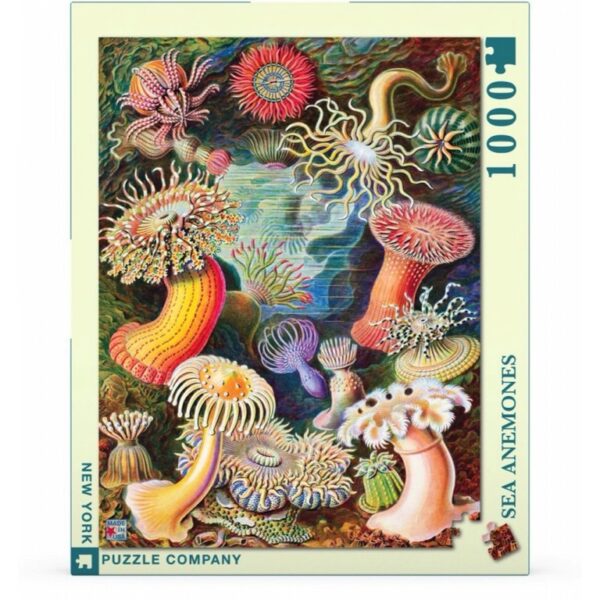 New York Puzzle Company Vintage Images Sea Anemones 1000 stukjes puzzel - Afbeelding 3